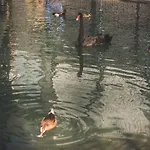 Casa de Férias Quinta Do Farejal