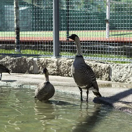 Quinta Do Farejal Nyaraló