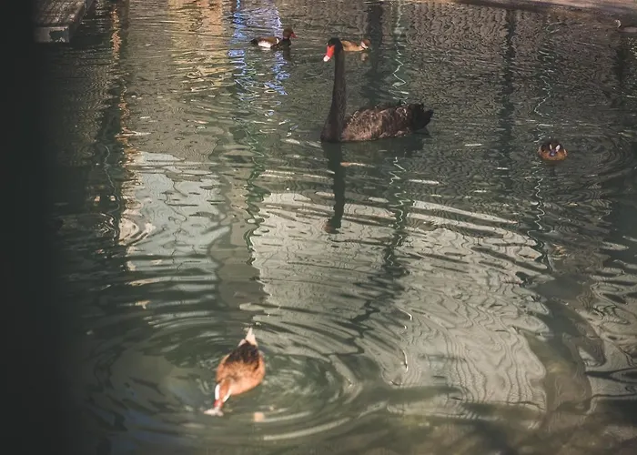 Semesterbostad Quinta Do Farejal