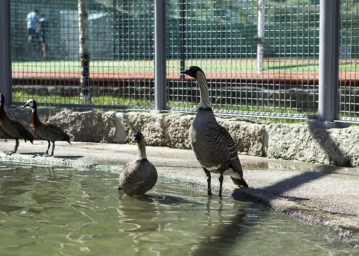 Quinta Do Farejal Ferienhaus